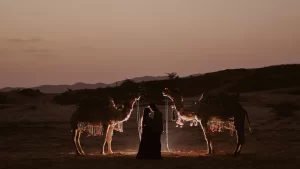 Read more about the article Pre wedding Shoot Locations in Pushkar 2025